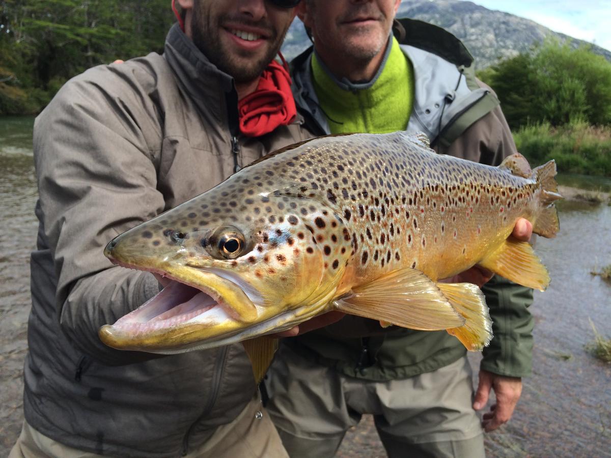 Vista Patagonia Lodge Coyhaique Εξωτερικό φωτογραφία