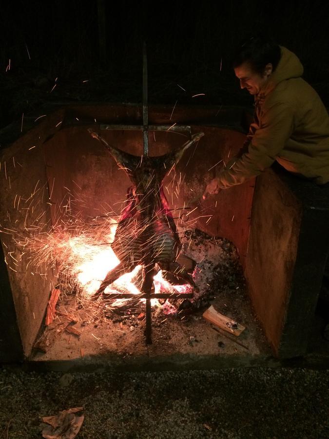Vista Patagonia Lodge Coyhaique Εξωτερικό φωτογραφία